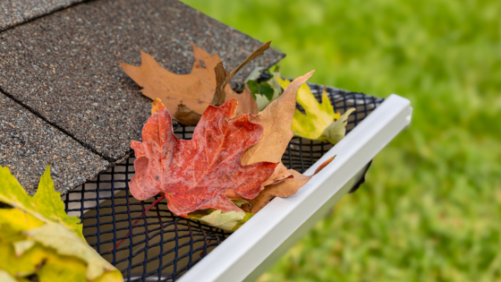 How to Safeguard Your Home Against Fall Storms | Counselor Realty