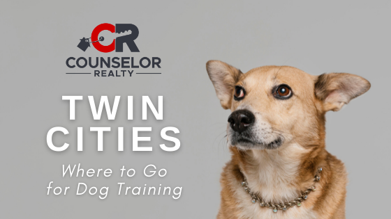 Dog Training - Twin Cities - Counselor Realty
